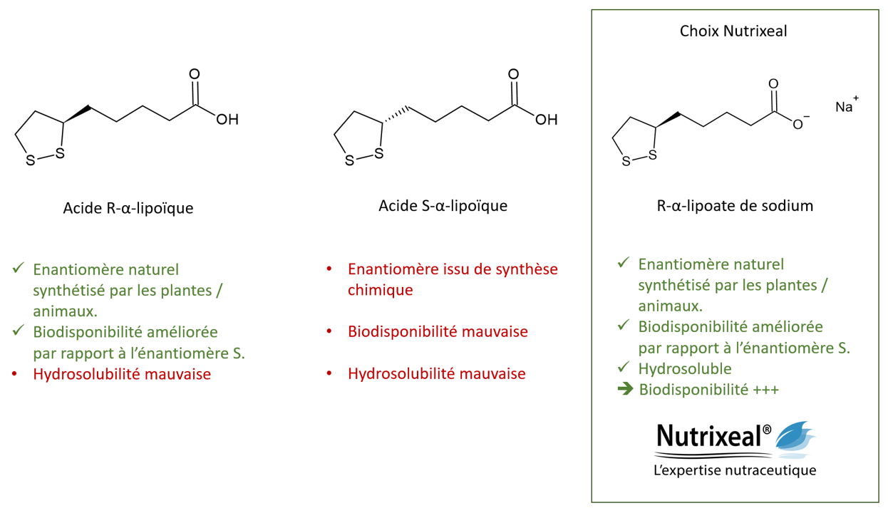 Avantages du R-alpha-lipoate de sodium en comparaison avec les formes R et S d’acide alpha-lipoïque 